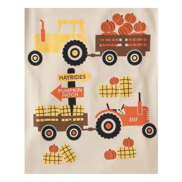 The Children's Place NWT Hayride Pumpkin Patch Long Sleeve Top 18-24 Mo - Picture 2 of 6